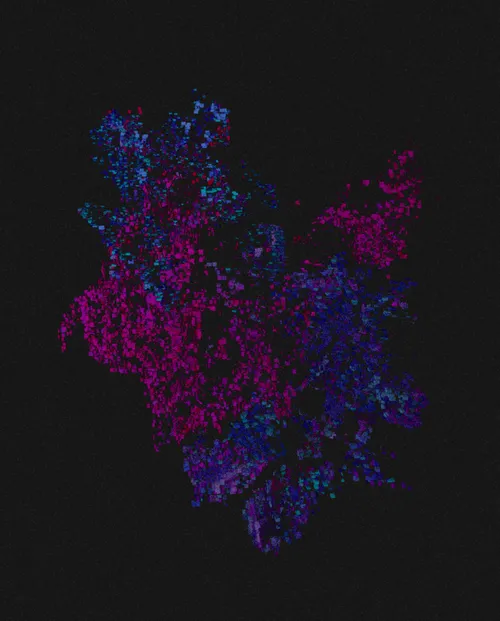 Item #197550775 Media