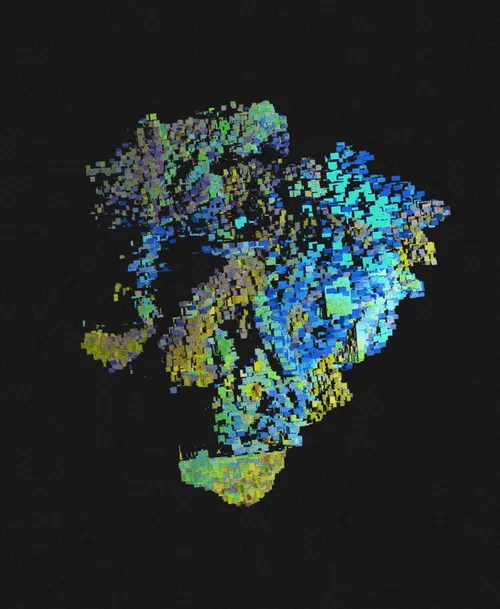 Item #3109645638 Media