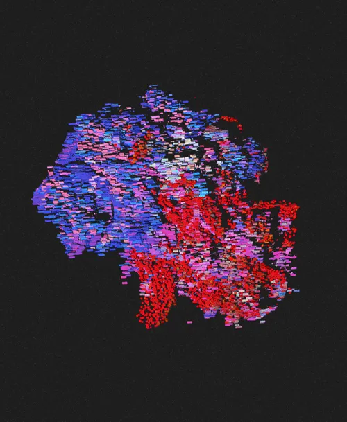 Item #2489587337 Media