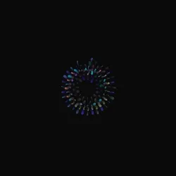 Anemone 2