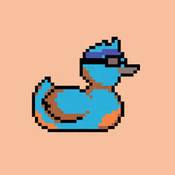 Duck #736