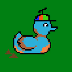 Duck #848