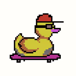 Duck #180