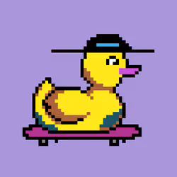 Duck #648