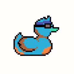 Duck #780