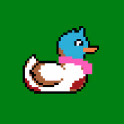 Duck #779