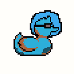 Duck #581