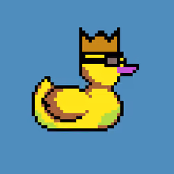 Duck #798
