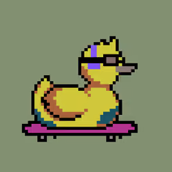 Duck #208
