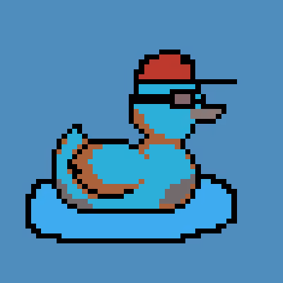 Duck #153