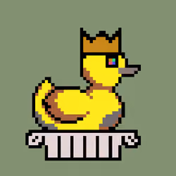 Duck #777