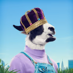 Kingdum #818