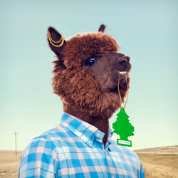 Kingdum #2144