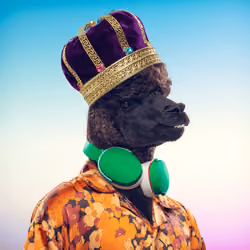 Kingdum #38