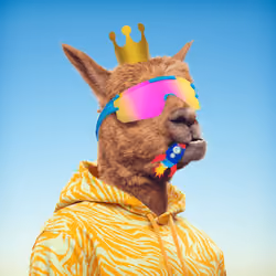 Kingdum #897