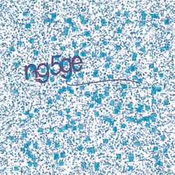 Captcha #2686