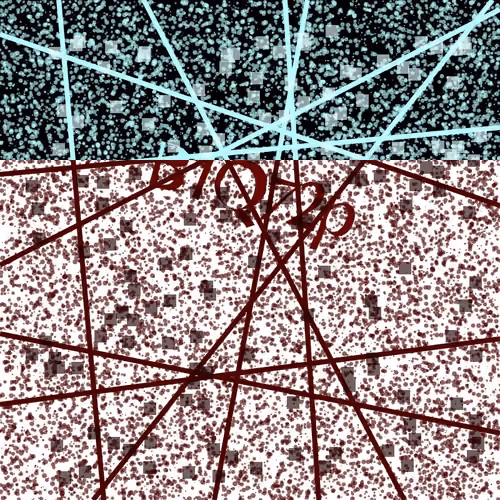 Captcha #5009