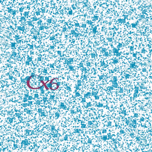 Captcha #6950