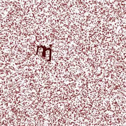 Captcha #7058