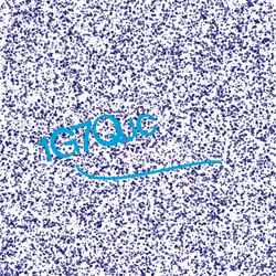Captcha #265