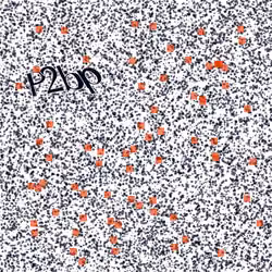 Captcha #185