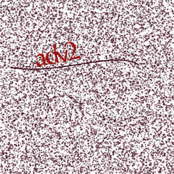 Captcha #3098