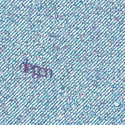 Captcha #2624