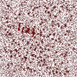 Captcha #165