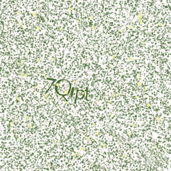 Captcha #2762