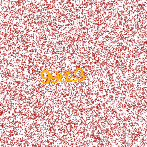 Thecaptchas