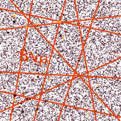 Captcha #1801