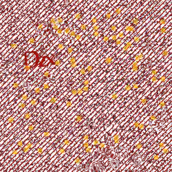 Captcha #8818