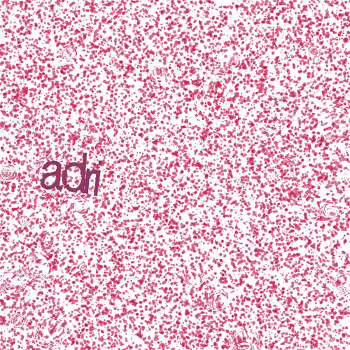 Captcha #2587