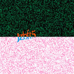 Captcha #241
