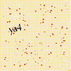 Captcha #6147