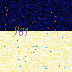 Captcha #8942