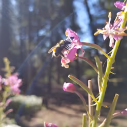 BZZZZZZZZZZZ