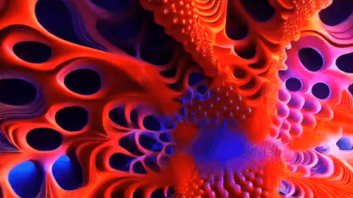 Fractals Your Creative Energy In The Universe