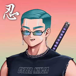CyberNinja #1628