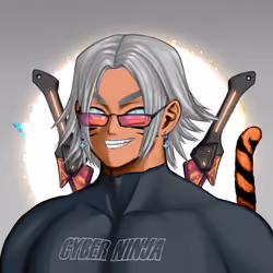 CyberNinja #1331