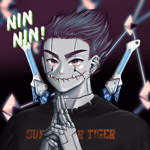 Cyberninjaofficial