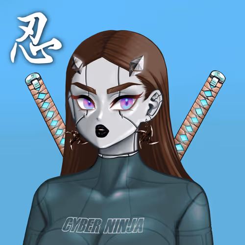 Cyberninjaofficial