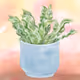 Floral and Fronds