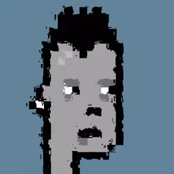 RawPunk #2329