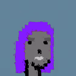 RawPunk #2411