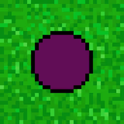 Circle 51