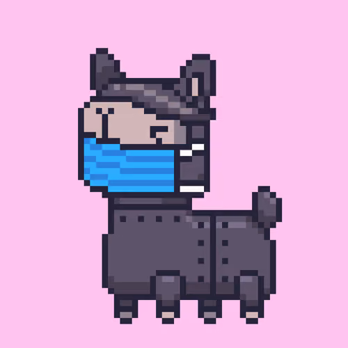 ALPACADABRA #5084