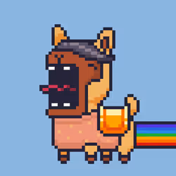 ALPACADABRA #805
