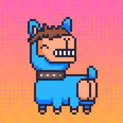ALPACADABRA #6511