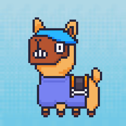 ALPACADABRA #148